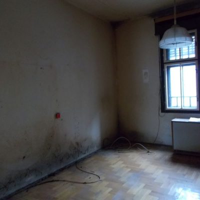 DSCN0531