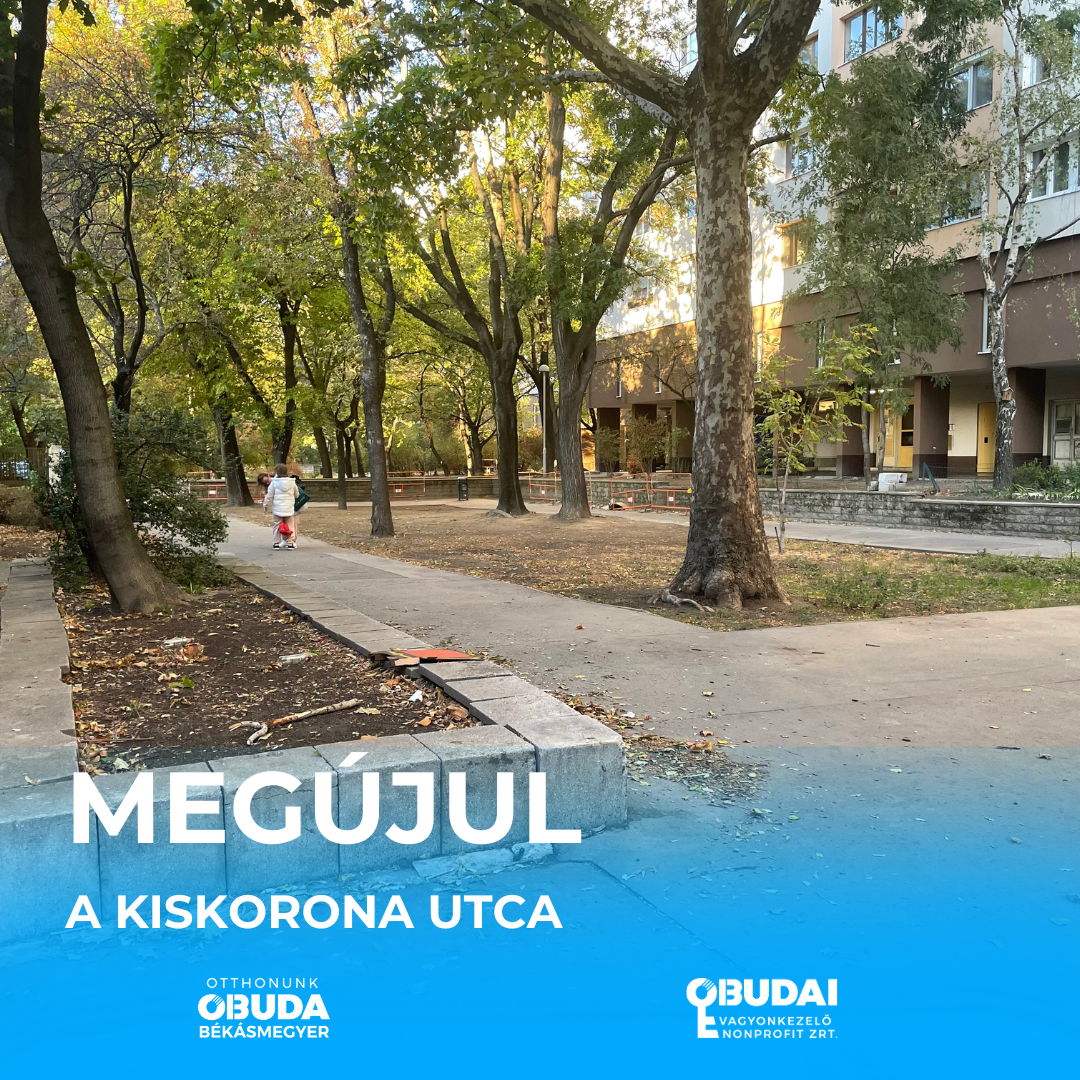 Kiskorona utcai munkák (1080 x 1080 képpont)