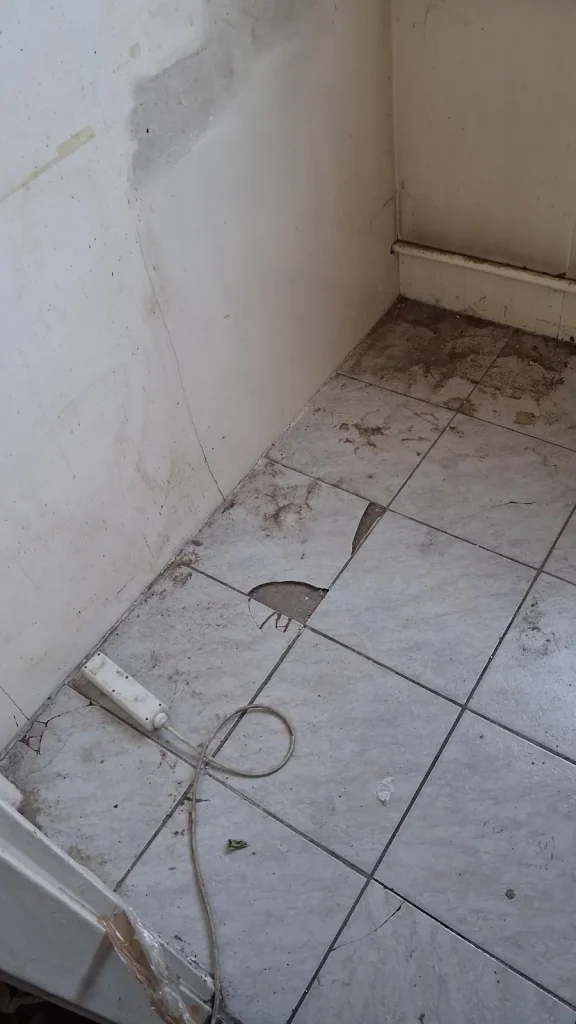Ágoston utca 10. IV. emelet 20. pályázati lakás, 15. fotó