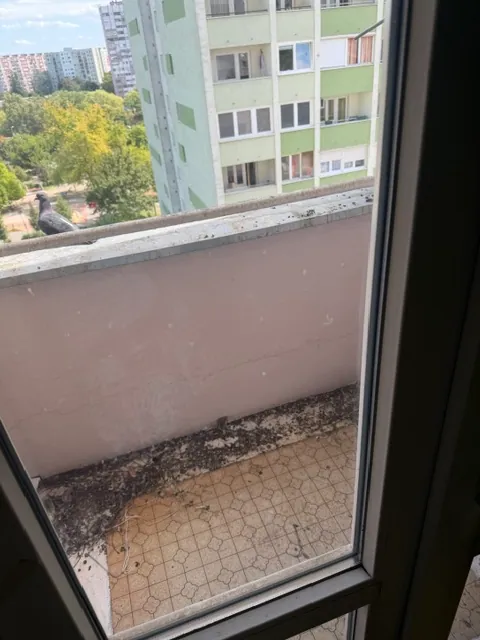 Margitliget utca 3. VIII. emelet 87. pályázati lakás, 7. fotó